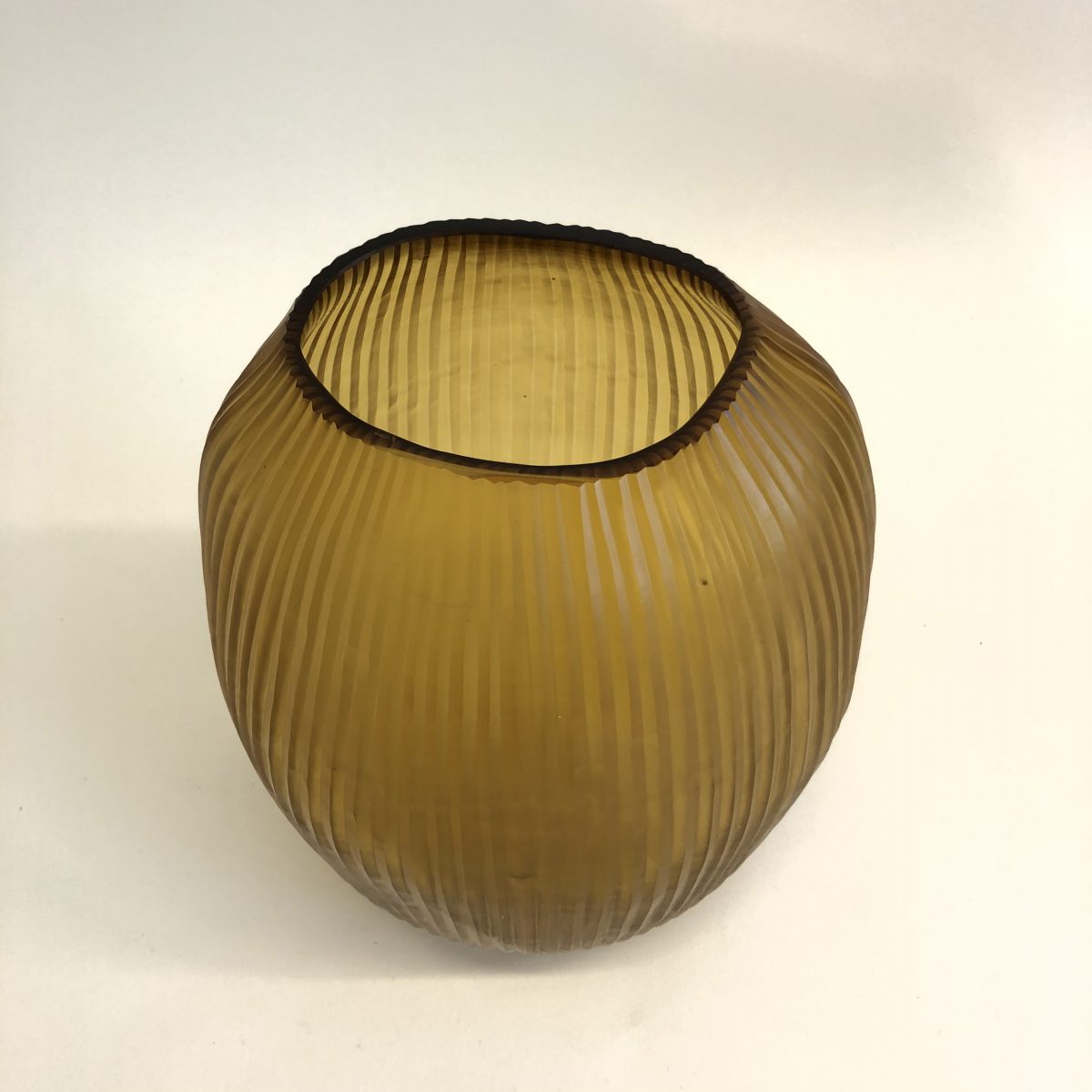 GUAXS Nagaa L amber – Bild 2
