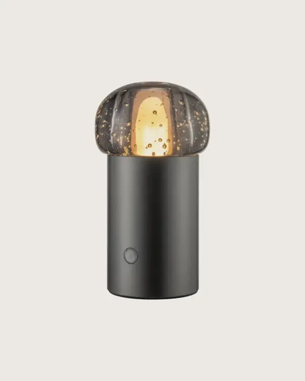 BLOMUS LED-Akkuleuchte IRIS gunmetal